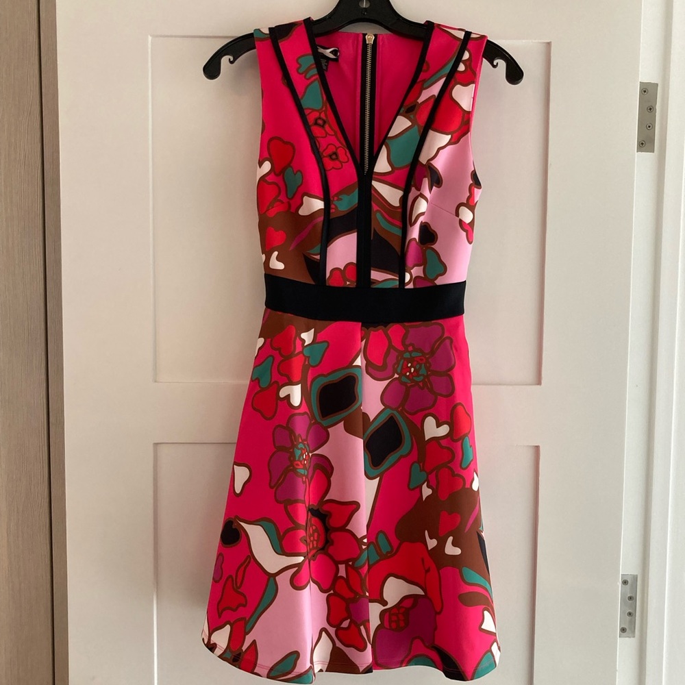 Ted Baker Skater Dress